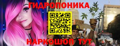 тгк Краснодар