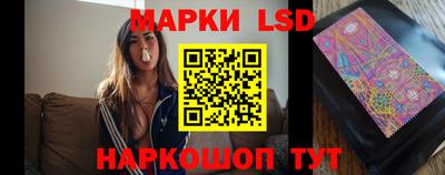 Альфа ПВП Краснознаменск