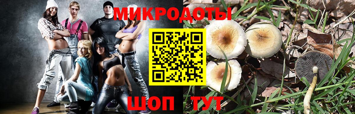 Псилоцибиновые грибы GOLDEN TEACHER  Псилоцибиновые грибы мухоморы  Вход с VPN  Котлас 