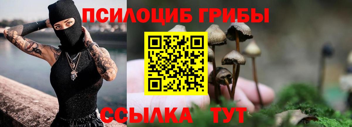 Галлюциногенные грибы мицелий Котлас