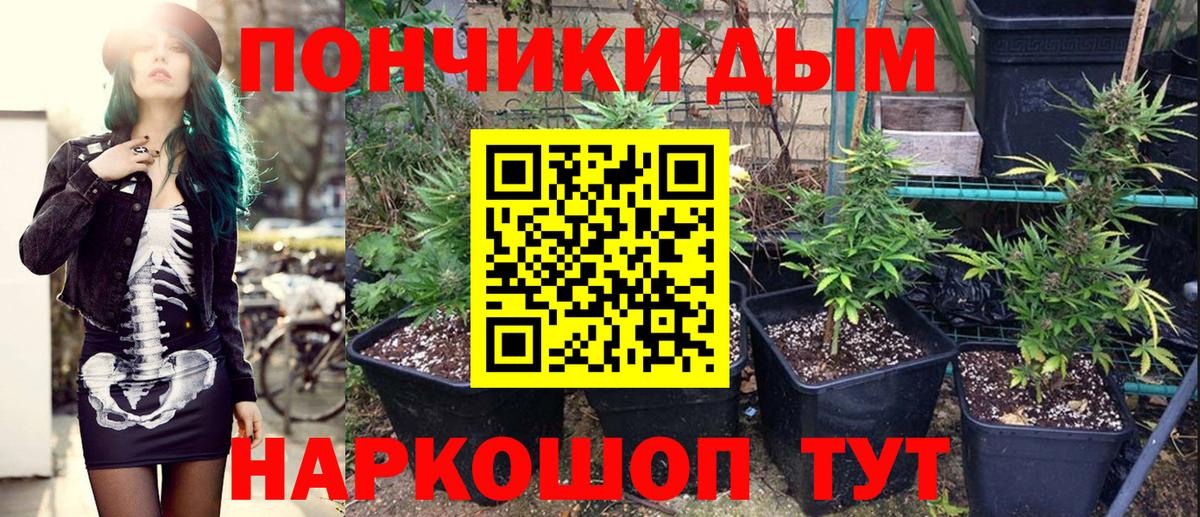 Бошки марихуана White Widow Котлас